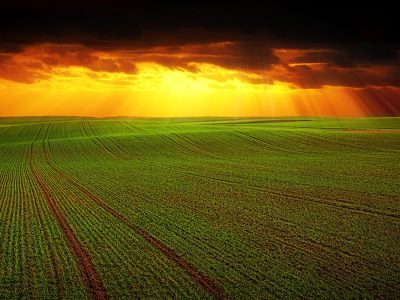 Agricultura de precisão - Crédito Shutterstock