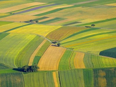 Agricultura de precisão - Créditos Shutterstock