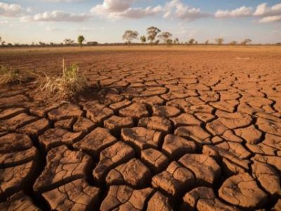 Arid mud landscape, broken tree sunset season generated by artificial intelligence