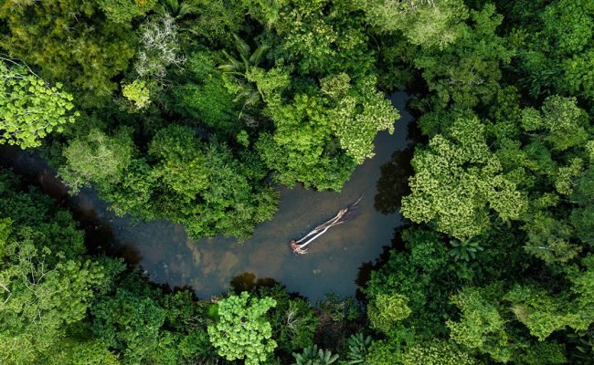 Amazônia - Crédito: Shutterstock