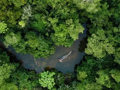 Amazônia - Crédito: Shutterstock