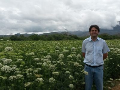 Andre-Mattedi-Melhorista