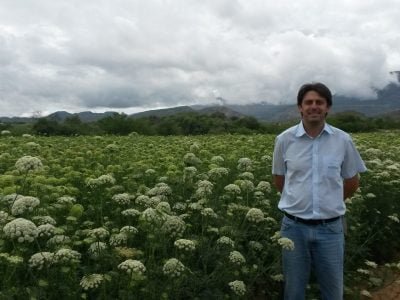 Andre-Mattedi-Melhorista