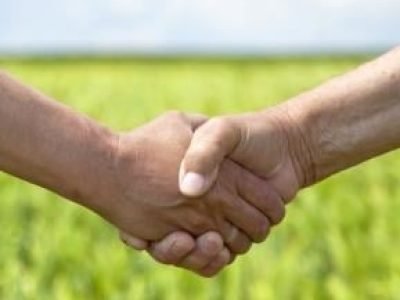 Aperto-de-mão-01-Crédito-Shutterstock-05-2016