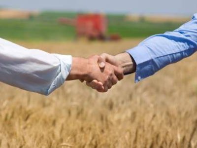 Aperto-de-mão-02-Crédito-shutterstock_330227249-10-2020-1