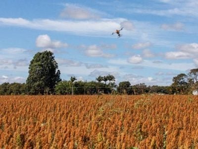 Aplicação de bioinseticidas por meio de drone em lavoura de sorgo no DF (Foto Giba Souza/Divulgação CropLife Brasil)