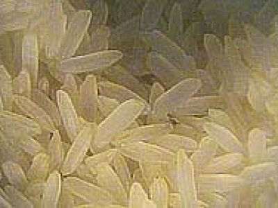 Arroz-07-Crédito-arquivo