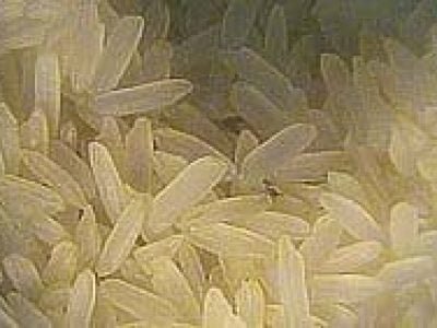 Arroz-07-Crédito-arquivo