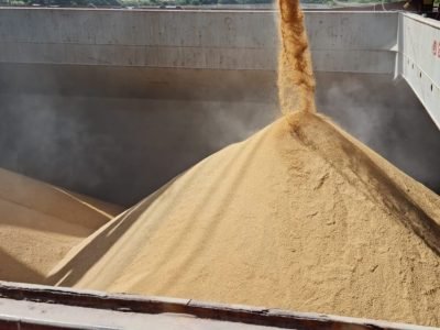 Arroz - Crédito Divulgação (Médio)