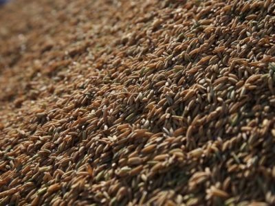 Foto: Paulo Rossi/Divulgação