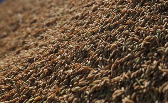 Foto: Paulo Rossi/Divulgação