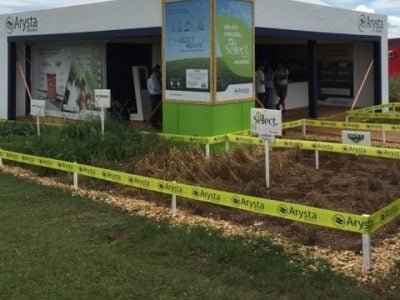 Arysta