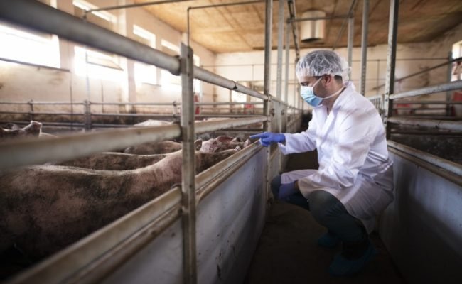 Palestra abordará ocorrências mais frequentes identificadas em auditorias sanitárias