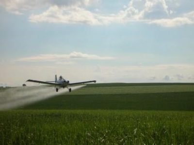 Aviação-02-Crédito-Manoel-Lobo-11-2012