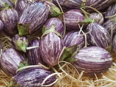 Mini Berinjela BILBO