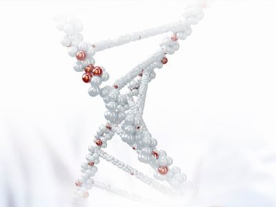 Biotecnologia - Crédito: Shutterstock