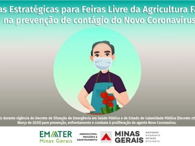 Banner-cartilha