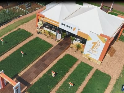 Nova tecnologia para o trigo será apresentada no Show Rural 2020