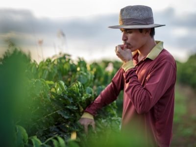 Foto por Marcelo Coelho
Brasis Cefás de Origem
