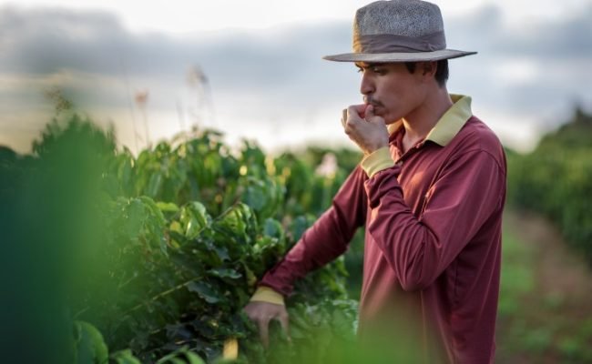 Foto por Marcelo Coelho
Brasis Cefás de Origem