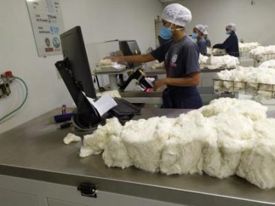 Bureau-Veritas_Laboratorio-Algodao-3