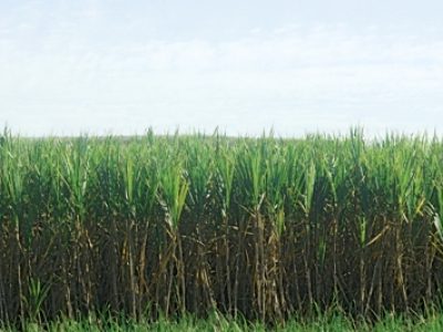 ????????????????????????????????????