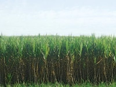 ????????????????????????????????????