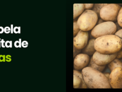 CAPA VÍDEOS SITE (1)