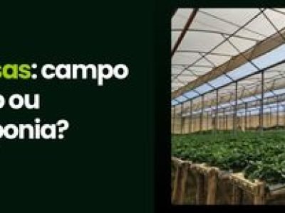 CAPA VÍDEOS SITE (1)