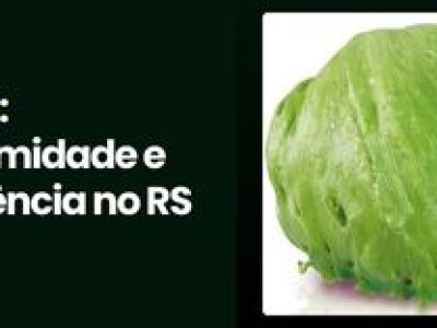 CAPA VÍDEOS SITE (1)