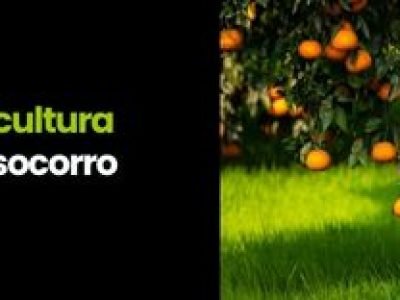 CAPA VÍDEOS SITE (1)