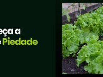 CAPA VÍDEOS SITE (1)