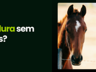 CAPA VÍDEOS SITE (1)