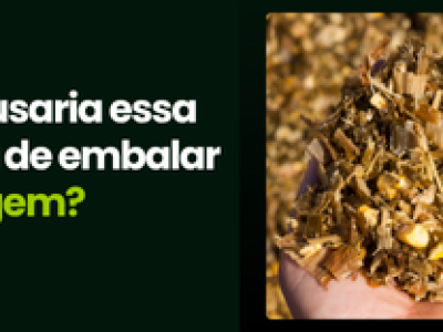 CAPA VÍDEOS SITE (1)