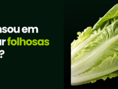 CAPA VÍDEOS SITE (1)