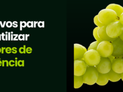 CAPA VÍDEOS SITE (1)