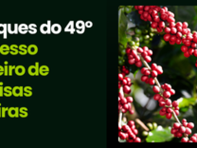 CAPA VÍDEOS SITE (1)