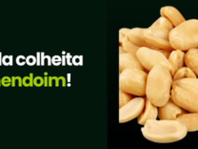 CAPA VÍDEOS SITE (1)