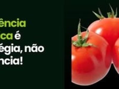 CAPA VÍDEOS SITE