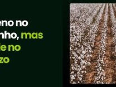 CAPA VÍDEOS SITE