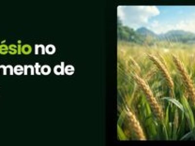 CAPA VÍDEOS SITE