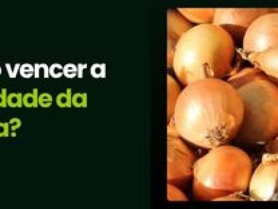 CAPA VÍDEOS SITE