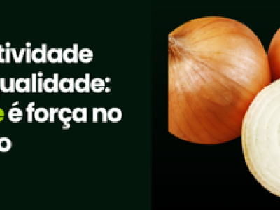 CAPA VÍDEOS SITE (2)