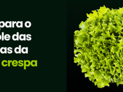 CAPA VÍDEOS SITE (2)