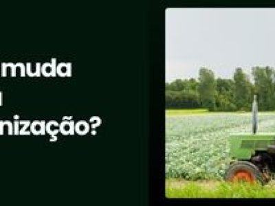CAPA VÍDEOS SITE (2)