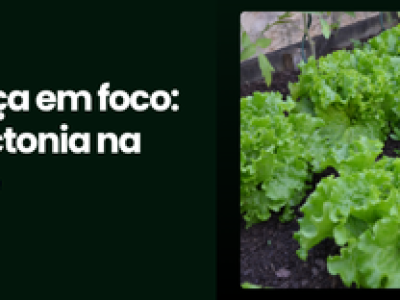 CAPA VÍDEOS SITE (2)