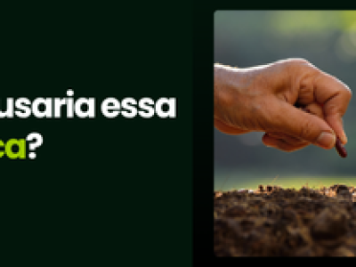 CAPA VÍDEOS SITE (2)