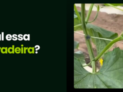 CAPA VÍDEOS SITE (2)