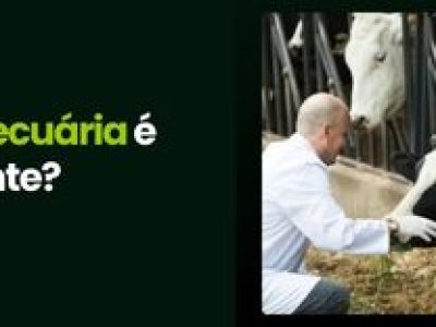 CAPA VÍDEOS SITE (2)