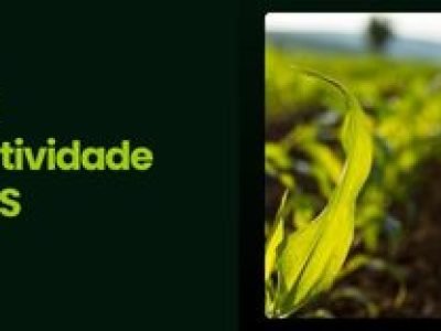 CAPA VÍDEOS SITE